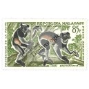 L&eacute;muriens de Madagascar