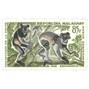 L&eacute;muriens de Madagascar
