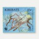 La langouste, espèce en danger