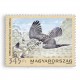 Rapaces européens