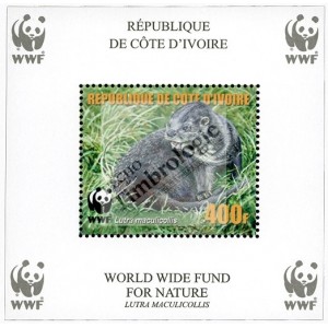 Protection de la faune : la loutre à cou tacheté (WWF)