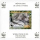 Protection de la faune : la loutre à cou tacheté (WWF)
