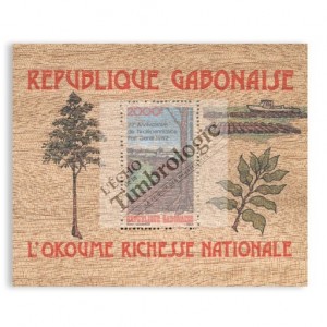 Un bloc en bois : l'Okoumé richesse nationale