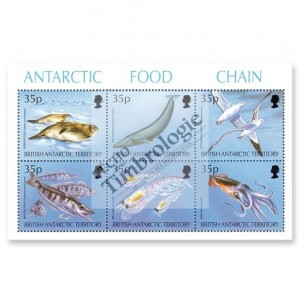 La chaîne alimentaire chez les animaux de l'Antarctique