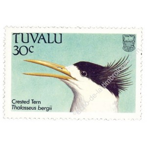 Oiseaux des îles Tuvalu