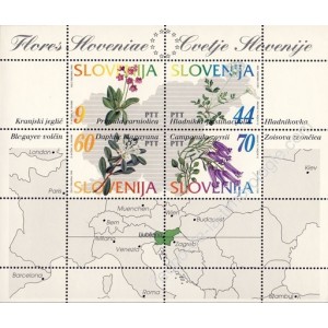 Flore du Sud de l'Europe