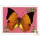 Papillons