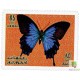 Papillons